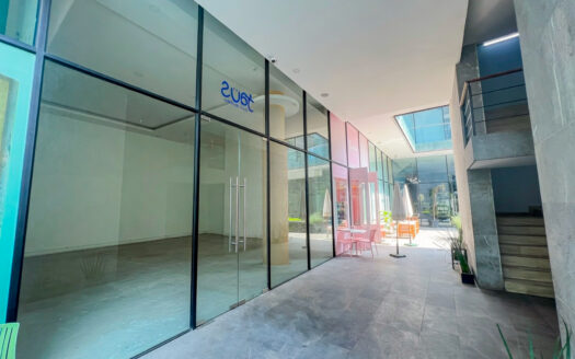 RENTA DE LOCALES EN PLAZA SAN JUAN